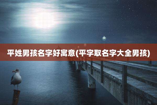 平姓男孩名字好寓意(平字取名字大全男孩)
