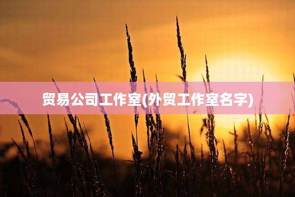贸易公司工作室(外贸工作室名字)