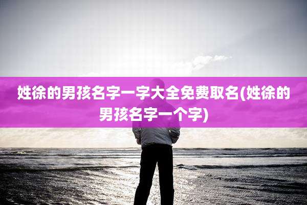 姓徐的男孩名字一字大全免费取名(姓徐的男孩名字一个字)