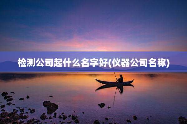 检测公司起什么名字好(仪器公司名称)