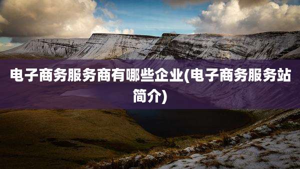 电子商务服务商有哪些企业(电子商务服务站简介)