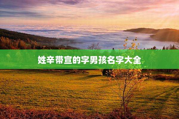 姓辛带宣的字男孩名字大全