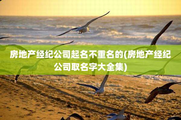 房地产经纪公司起名不重名的(房地产经纪公司取名字大全集)