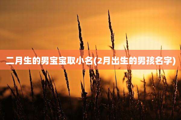 二月生的男宝宝取小名(2月出生的男孩名字)