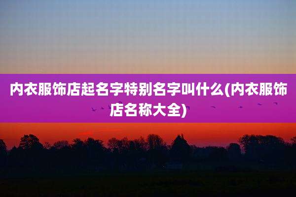 内衣服饰店起名字特别名字叫什么(内衣服饰店名称大全)