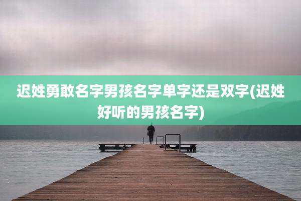 迟姓勇敢名字男孩名字单字还是双字(迟姓好听的男孩名字)