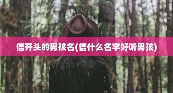信开头的男孩名(信什么名字好听男孩)