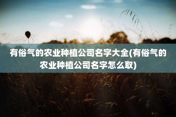 有俗气的农业种植公司名字大全(有俗气的农业种植公司名字怎么取)