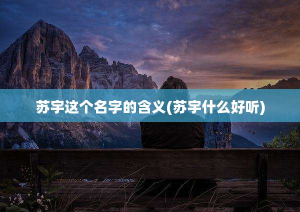 苏宇这个名字的含义(苏宇什么好听)