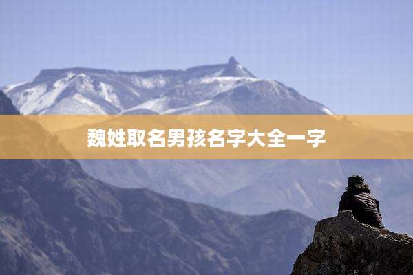 魏姓取名男孩名字大全一字
