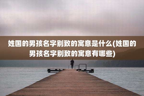 姓国的男孩名字别致的寓意是什么(姓国的男孩名字别致的寓意有哪些)