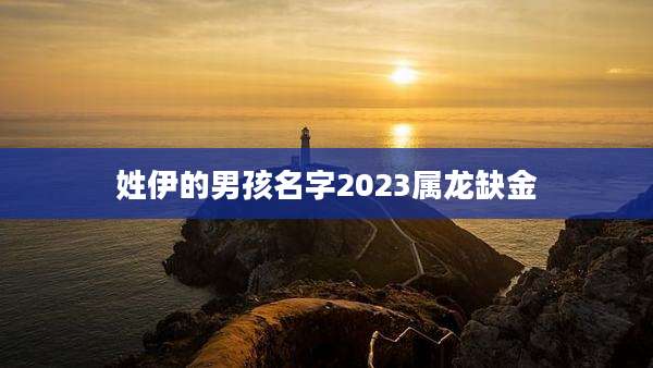 姓伊的男孩名字2023属龙缺金