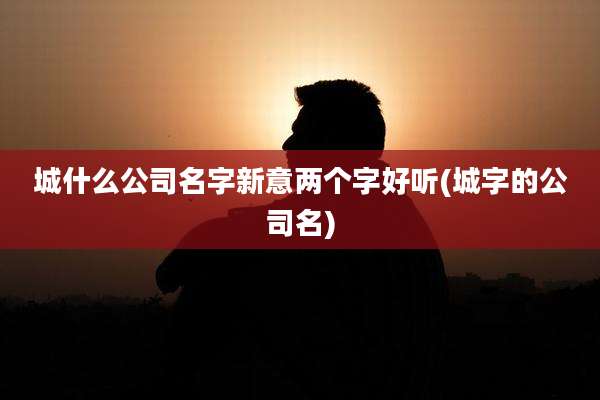 城什么公司名字新意两个字好听(城字的公司名)