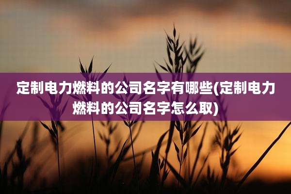 定制电力燃料的公司名字有哪些(定制电力燃料的公司名字怎么取)