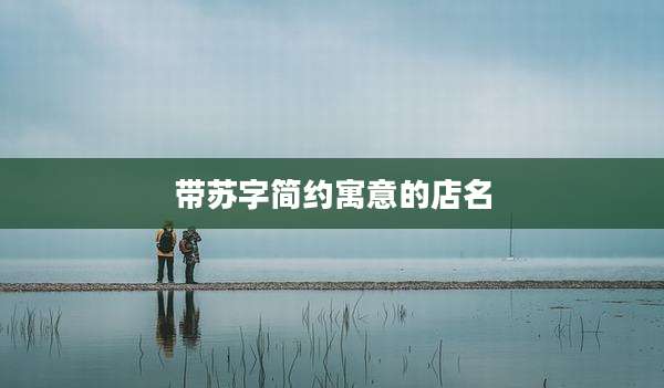 带苏字简约寓意的店名