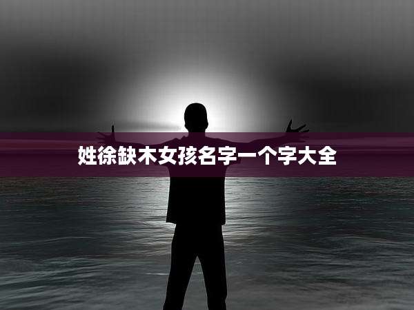 姓徐缺木女孩名字一个字大全