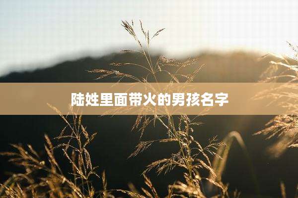 陆姓里面带火的男孩名字