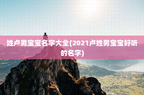 姓卢男宝宝名字大全(2021卢姓男宝宝好听的名字)
