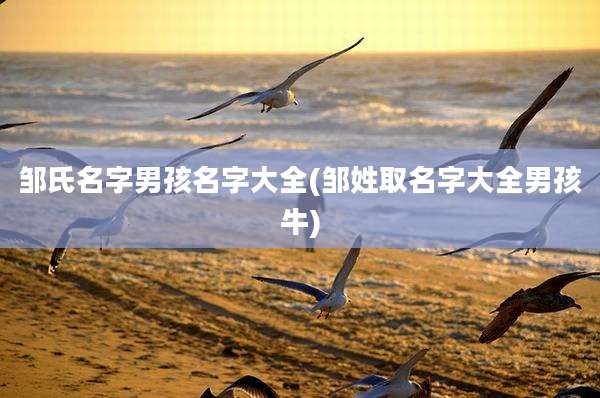 邹氏名字男孩名字大全(邹姓取名字大全男孩牛)