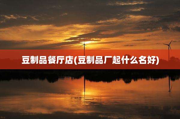 豆制品餐厅店(豆制品厂起什么名好)