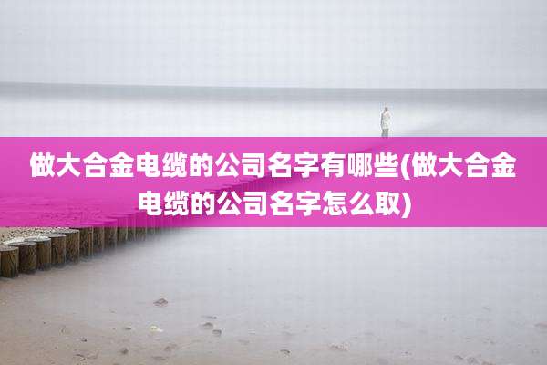 做大合金电缆的公司名字有哪些(做大合金电缆的公司名字怎么取)