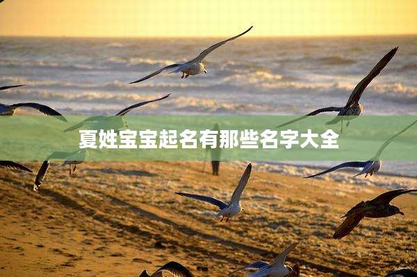 夏姓宝宝起名有那些名字大全