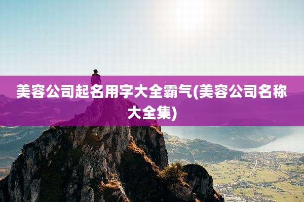 美容公司起名用字大全霸气(美容公司名称大全集)
