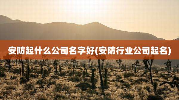 安防起什么公司名字好(安防行业公司起名)