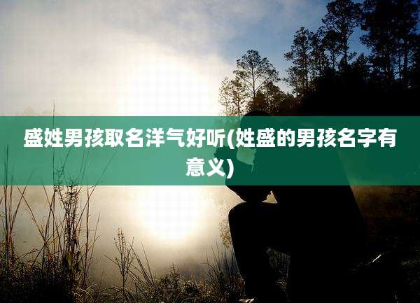 盛姓男孩取名洋气好听(姓盛的男孩名字有意义)