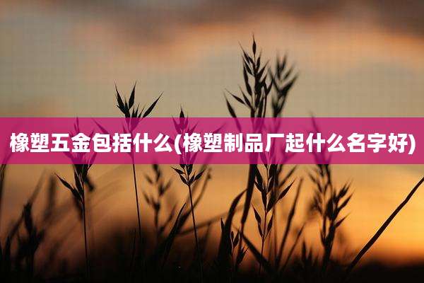 橡塑五金包括什么(橡塑制品厂起什么名字好)