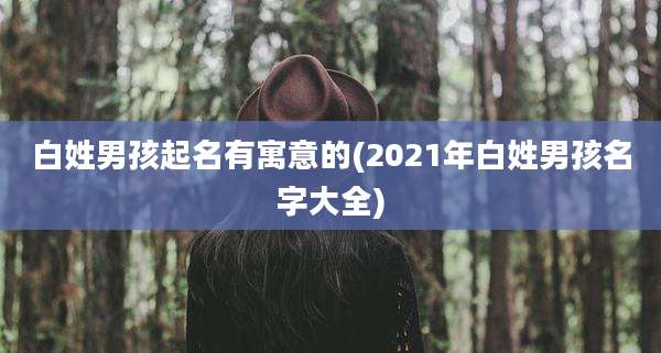 白姓男孩起名有寓意的(2021年白姓男孩名字大全)