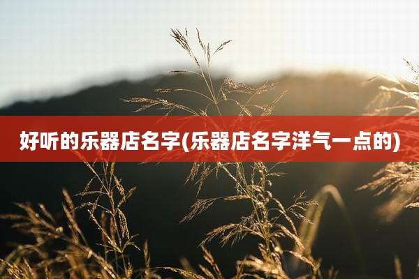 好听的乐器店名字(乐器店名字洋气一点的)
