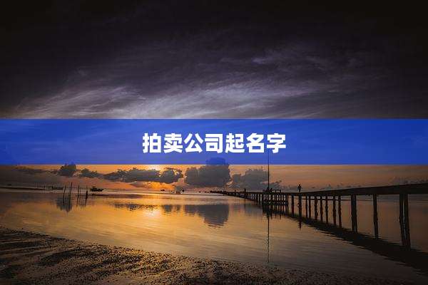 拍卖公司起名字