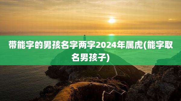 带能字的男孩名字两字2024年属虎(能字取名男孩子)