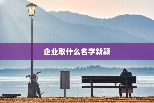 企业取什么名字新颖