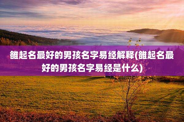 雒起名最好的男孩名字易经解释(雒起名最好的男孩名字易经是什么)