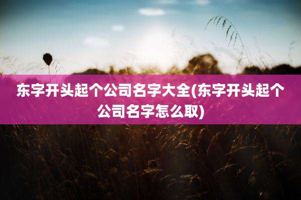 东字开头起个公司名字大全(东字开头起个公司名字怎么取)