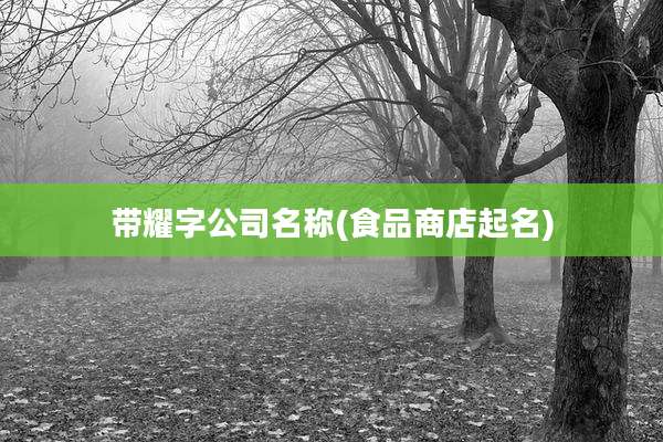 带耀字公司名称(食品商店起名)