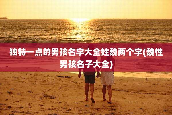 独特一点的男孩名字大全姓魏两个字(魏性男孩名子大全)