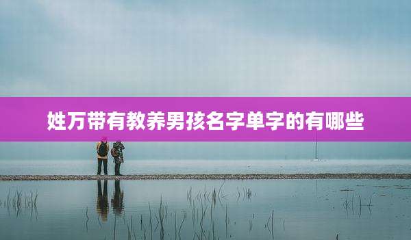 姓万带有教养男孩名字单字的有哪些