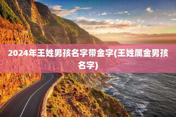 2024年王姓男孩名字带金字(王姓属金男孩名字)