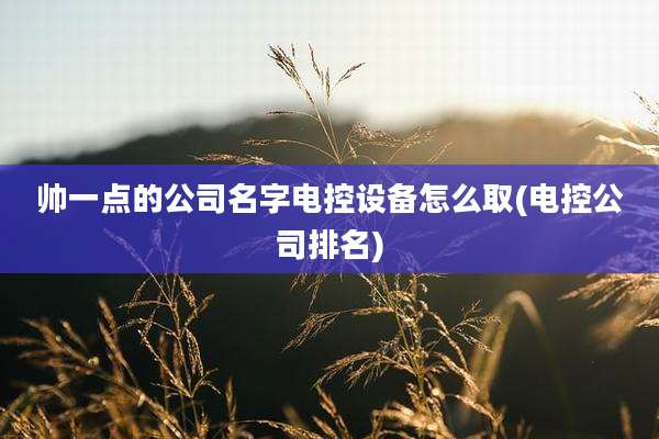 帅一点的公司名字电控设备怎么取(电控公司排名)
