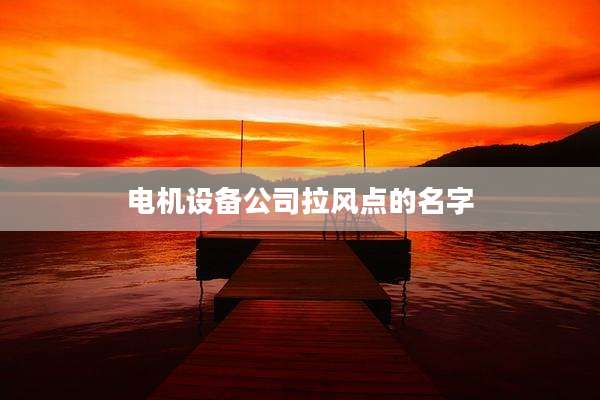 电机设备公司拉风点的名字