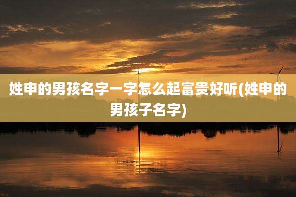 姓申的男孩名字一字怎么起富贵好听(姓申的男孩子名字)