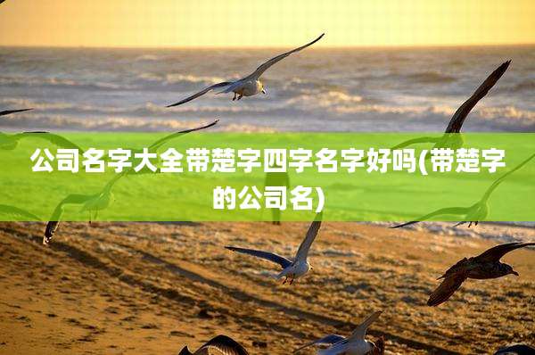 公司名字大全带楚字四字名字好吗(带楚字的公司名)