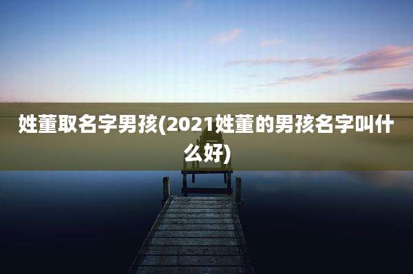 姓董取名字男孩(2021姓董的男孩名字叫什么好)