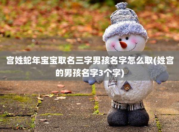宫姓蛇年宝宝取名三字男孩名字怎么取(姓宫的男孩名字3个字)