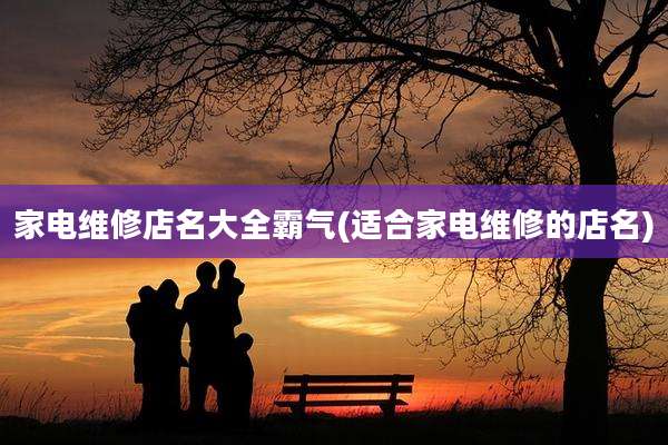 家电维修店名大全霸气(适合家电维修的店名)
