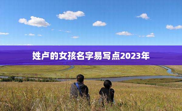 姓卢的女孩名字易写点2023年