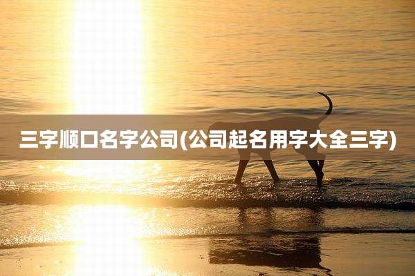 三字顺口名字公司(公司起名用字大全三字)